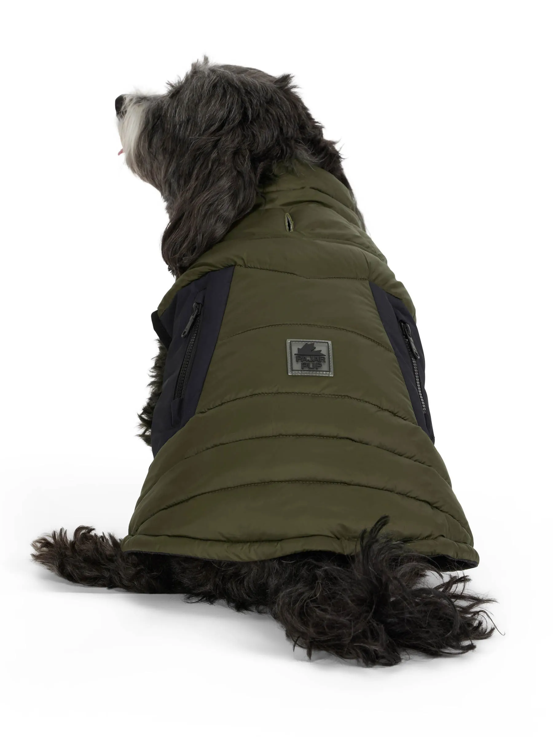 Beau Jacket w/Leash Attachment for Dogs