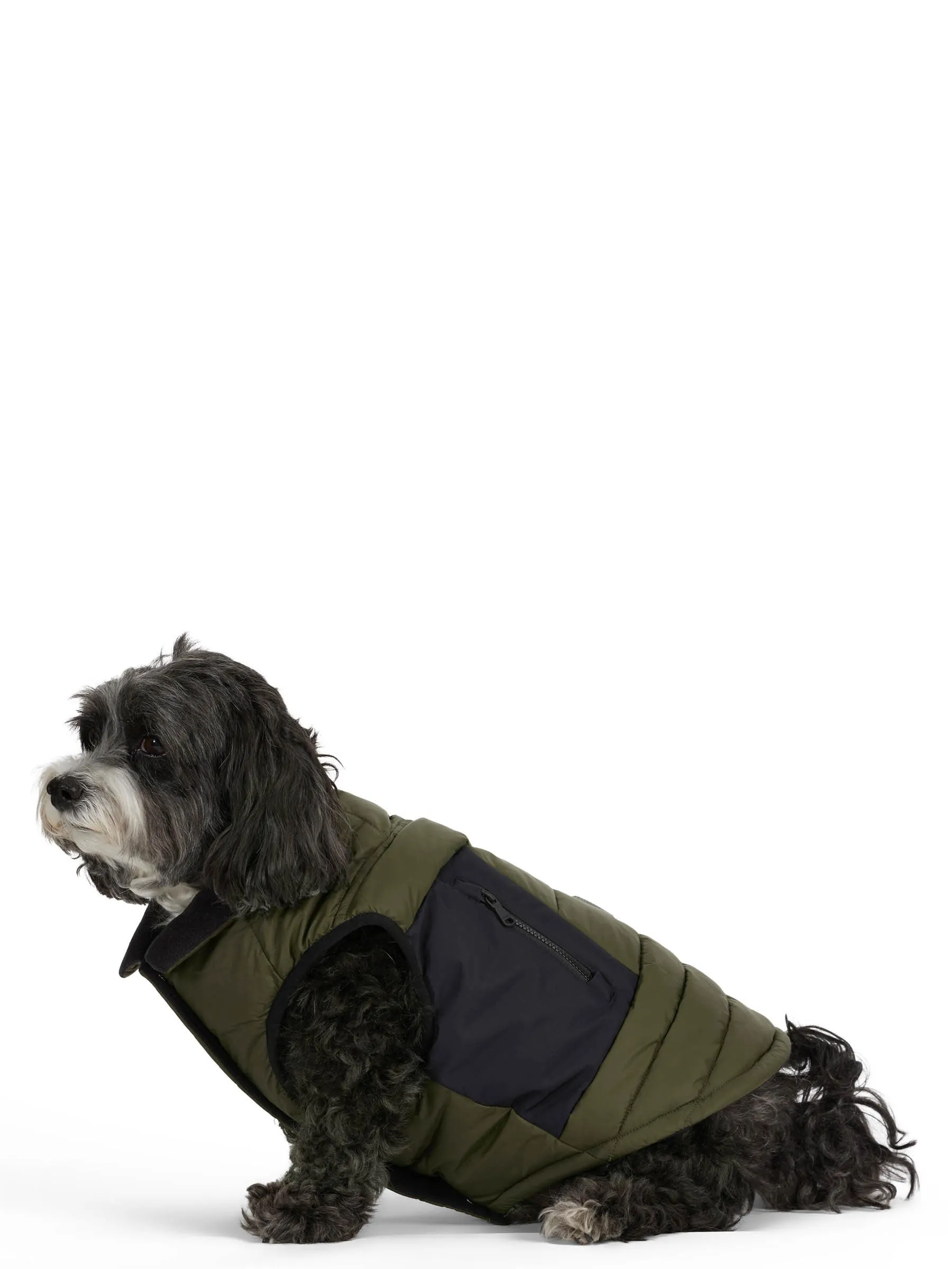 Beau Jacket w/Leash Attachment for Dogs