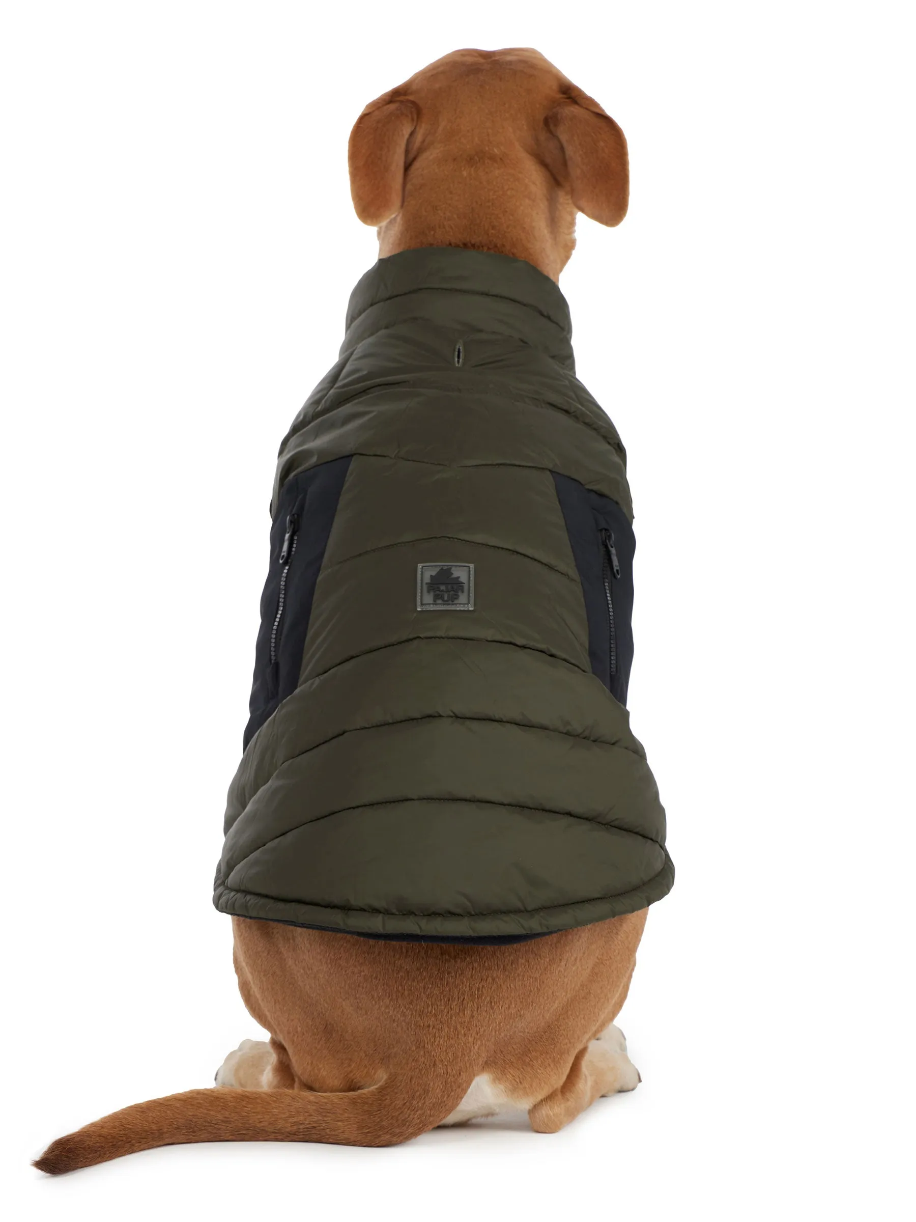 Beau Jacket w/Leash Attachment for Dogs