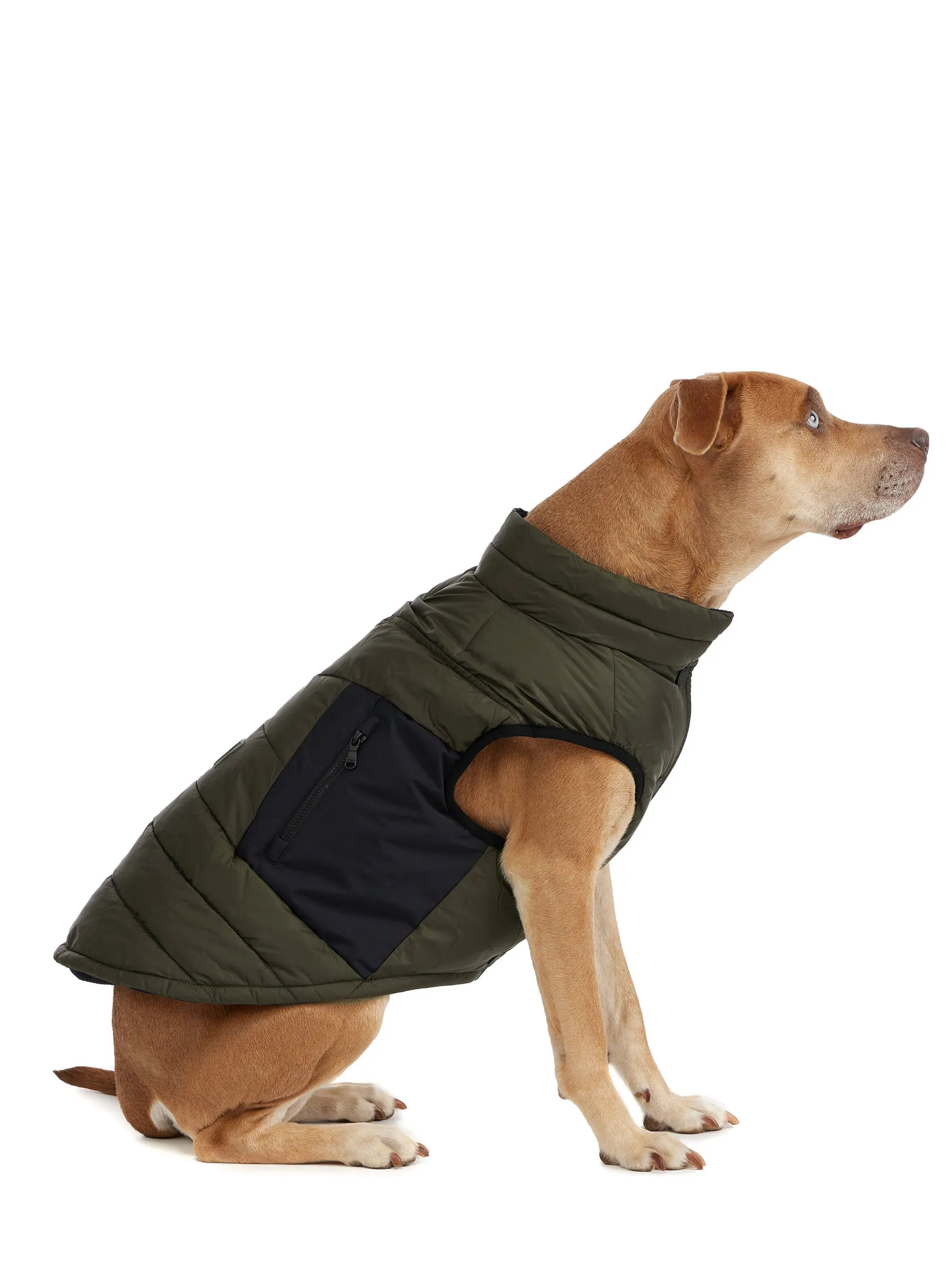 Beau Jacket w/Leash Attachment for Dogs