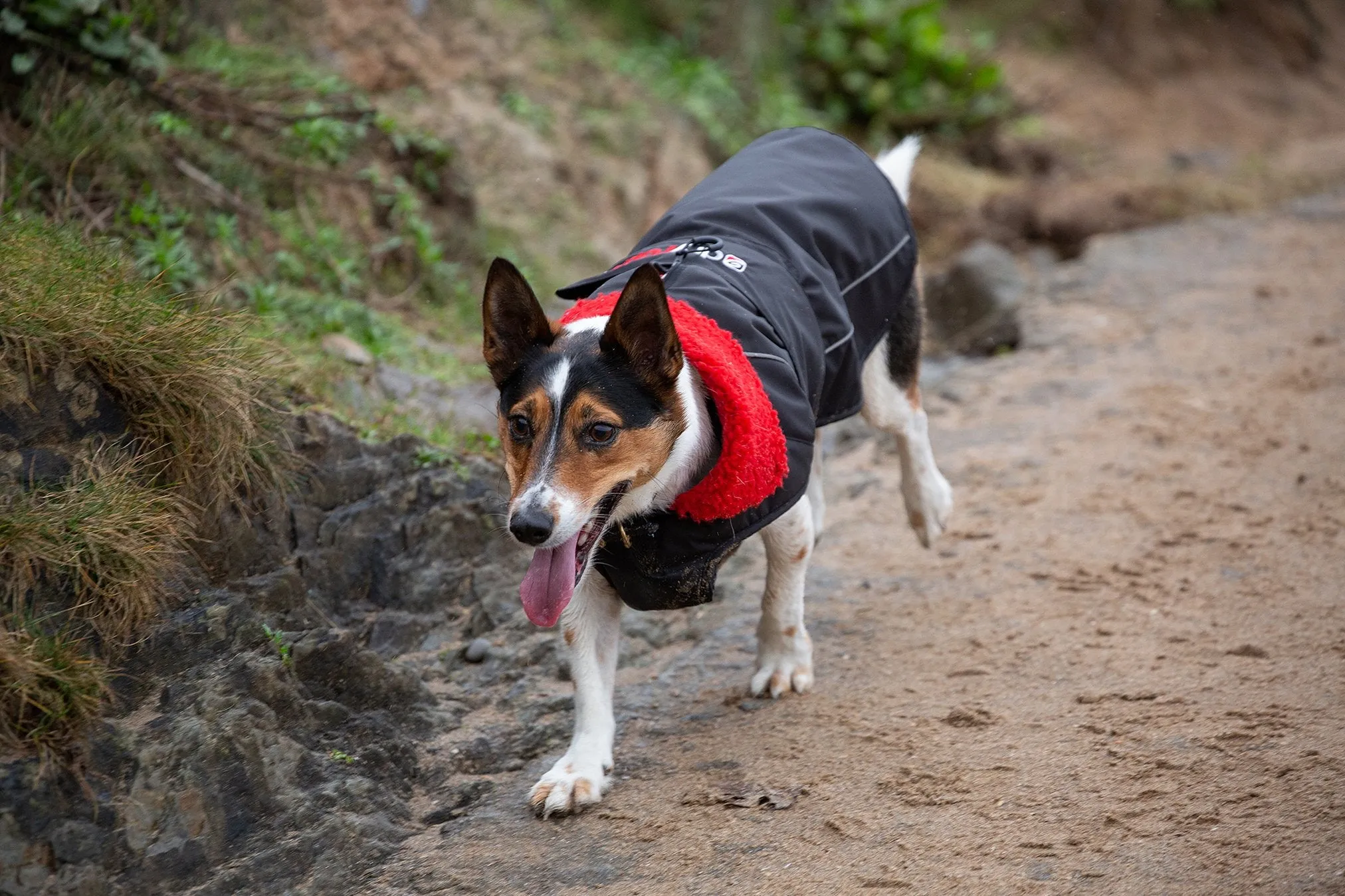 Dryrobe Dog Waterproof Coat