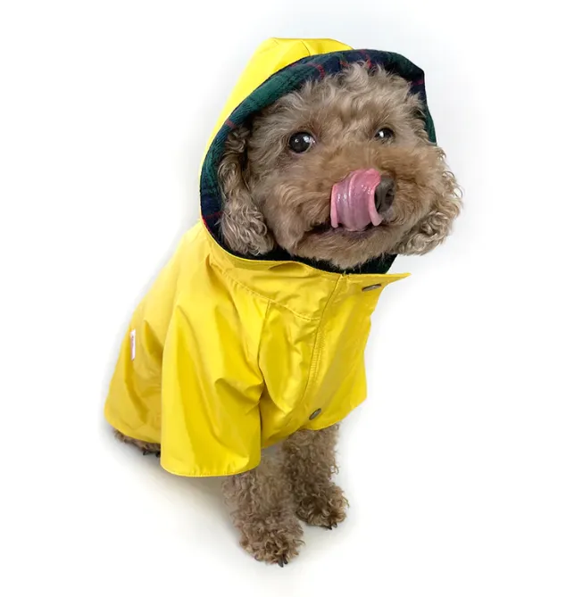 Milltown Brand Dog Rain Jacket - Sunshine Yellow